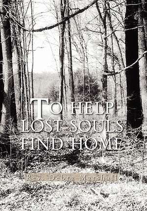 TO HELP LOST SOULS FIND HOME de Rev. Debra Marshall