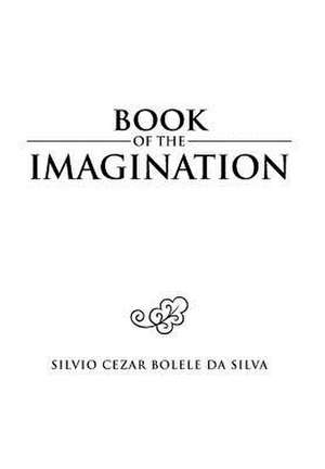 Silva, S: Book of the Imagination