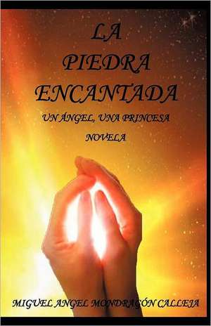 La Piedra Encantada de Miguel Angel Mondrag N. Calleja