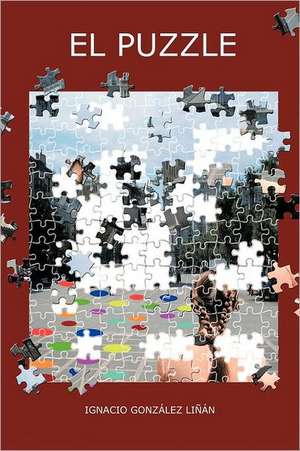 El Puzzle de Ignacio Gonz Li N.