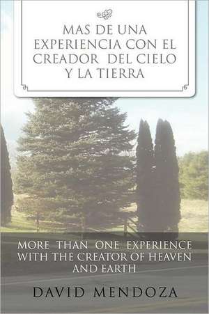 Mas de Una Experiencia Con El Creador del Cielo y La Tierra /More Than One Experience with the Creator of Heaven and Earth de David Mendoza