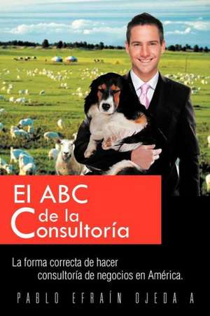 El ABC de La Consultoria de Pablo Ojeda