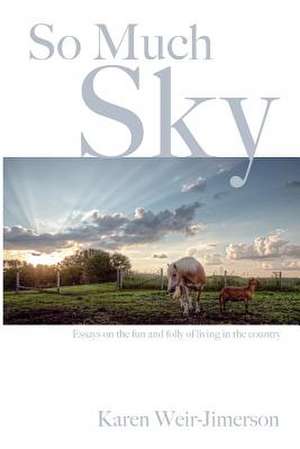 So Much Sky de Karen Weir-Jimerson