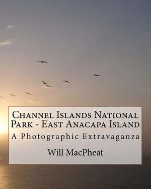 Channel Islands National Park - East Anacapa Island de Will Macpheat