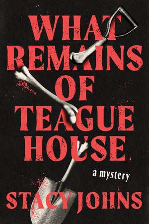 What Remains of Teague House: A Mystery de Stacy Johns