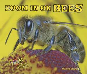 Zoom in on Bees de Melissa Stewart