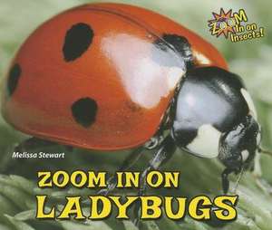 Zoom in on Ladybugs de Melissa Stewart