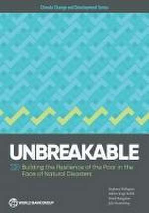 Unbreakable de Stephane Hallegatte