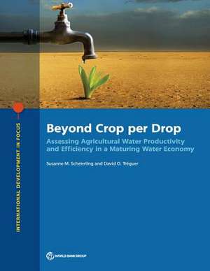 Beyond Crop Per Drop de Susanne M Scheierling