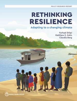 Rethinking Resilience de Claudia Berg