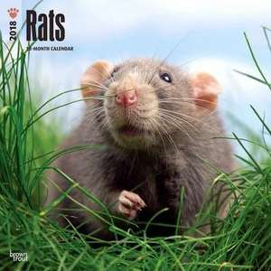 Rats 2018 Wall Calendar