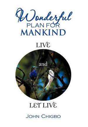 Wonderful Plan for Mankind de John Chigbo