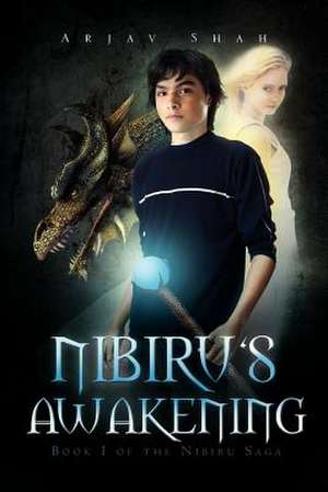 Nibiru's Awakening de Arjav Shah