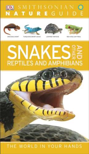 Snakes and Other Reptiles and Amphibians de Chris Mattison