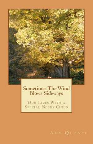 Sometimes the Wind Blows Sideways de Mrs Amy Quonce