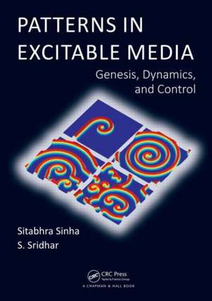 Patterns in Excitable Media: Genesis, Dynamics, and Control de Sitabhra Sinha