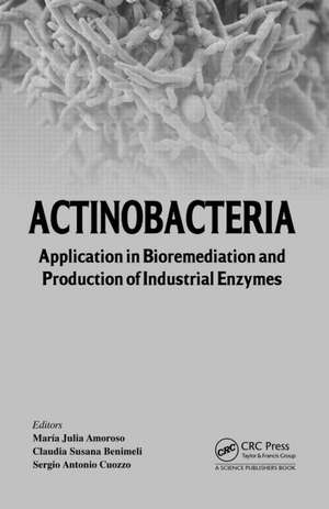 Actinobacteria: Application in Bioremediation and Production of Industrial Enzymes de Maria Julia Amoroso