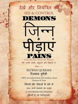 See & Control Demons & Pains de Rizwan Qureshi