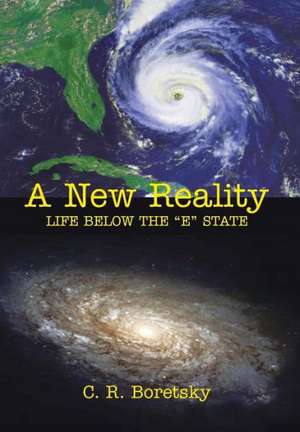 A New Reality de C. R. Boretsky