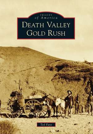 Death Valley Gold Rush de Ted Faye