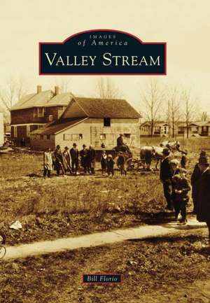 Valley Stream de Bill Florio