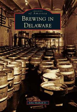 Brewing in Delaware de John Medkeff Jr