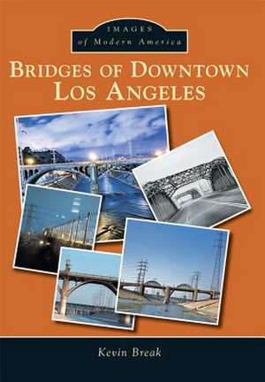 Bridges of Downtown Los Angeles de Kevin Break