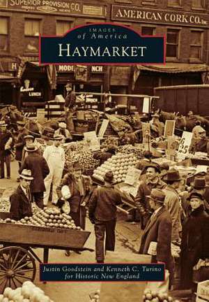 Haymarket de Justin Goodstein