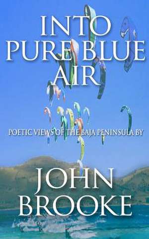 Into Pure Blue Air de John Brooke