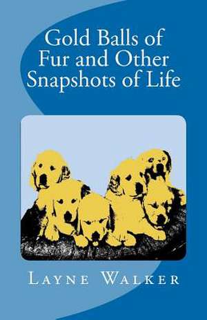 Gold Balls of Fur and Other Snapshots of Life de Layne Walker