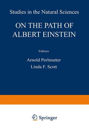 On the Path of Albert Einstein de Berham Kursunoglu