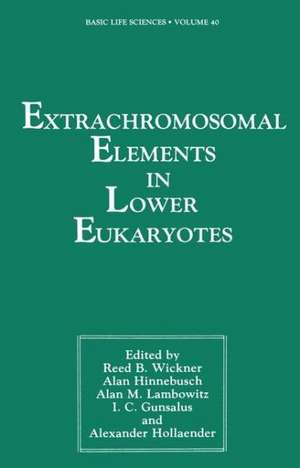 Extrachromosomal Elements in Lower Eukaryotes de Reed Wickner