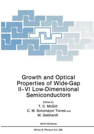 Growth and Optical Properties of Wide-Gap II–VI Low-Dimensional Semiconductors de T.C. McGill