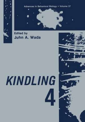 Kindling 4 de Juhn A. Wada