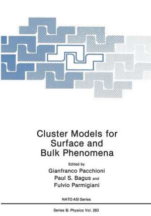 Cluster Models for Surface and Bulk Phenomena de Gianfranco Pacchioni