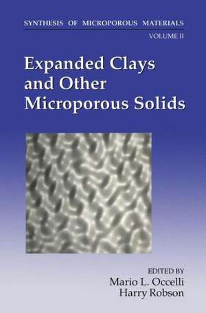 Expanded Clays and Other Microporous Solids de M.L. Occelli