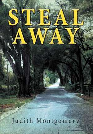 Steal Away de Judith Montgomery