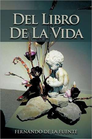 del Libro de La Vida de Fernando De La Fuente