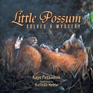 Little Possum Solves a Mystery de Kaye Pattinson