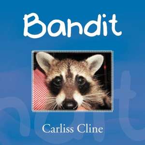 Bandit de Carliss Cline