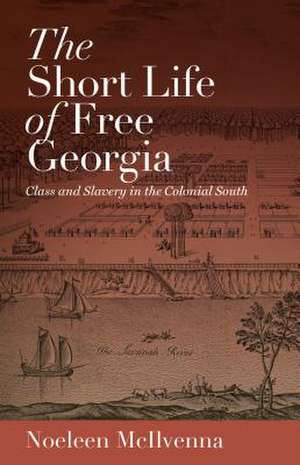 The Short Life of Free Georgia: Class and Slavery in the Colonial South de Noeleen McIlvenna