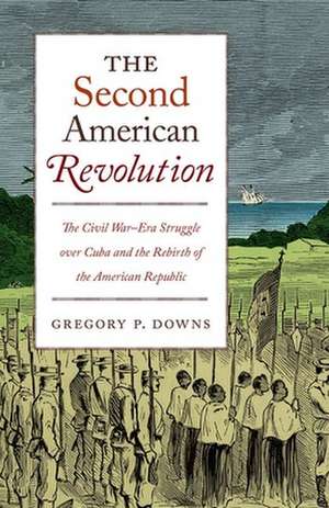 The Second American Revolution de Gregory P Downs