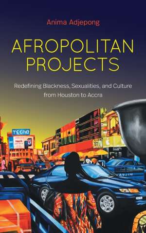 Afropolitan Projects de Anima Adjepong