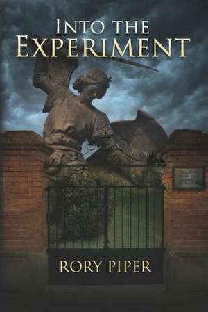 Into the Experiment de Rory Piper