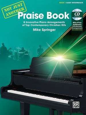 Not Just Another Praise Book, Bk 1 de Mike Springer