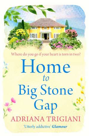 Home to Big Stone Gap de Adriana Trigiani