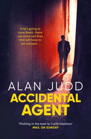 Accidental Agent de Alan Judd