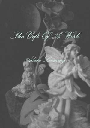 The Gift of a Wish de Adam Leeming