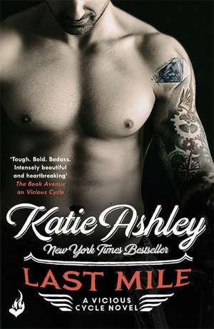 Last Mile: Vicious Cycle 3 de Katie Ashley