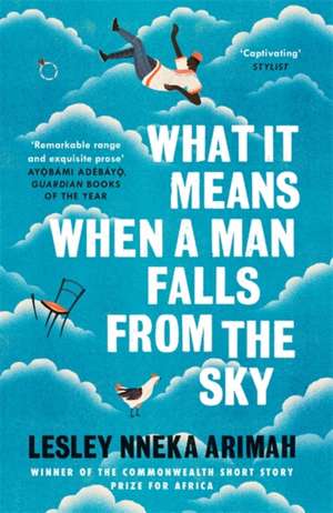 What It Means When A Man Falls From The Sky de Lesley Nneka Arimah